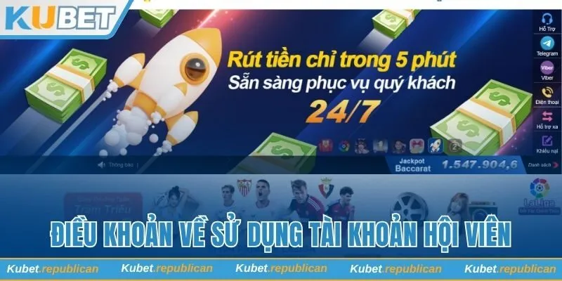 Điều khoản liên quan đến sử dụng tài khoản hội viên