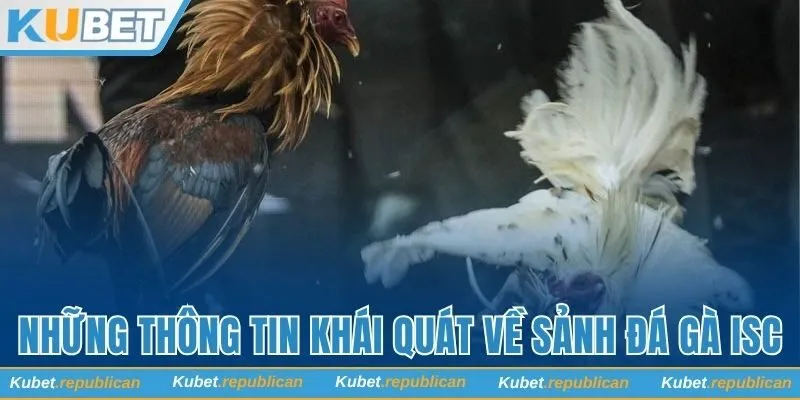 Những thông tin khái quát về sảnh đá gà ISC