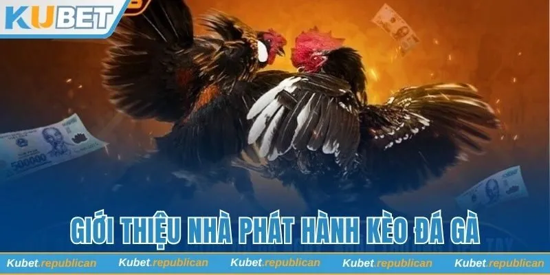 Thông tin về nhà phát hành WS168 tại Kubet